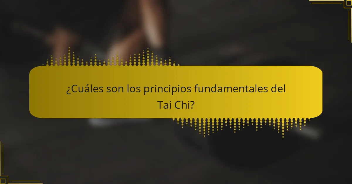 ¿Cuáles son los principios fundamentales del Tai Chi?