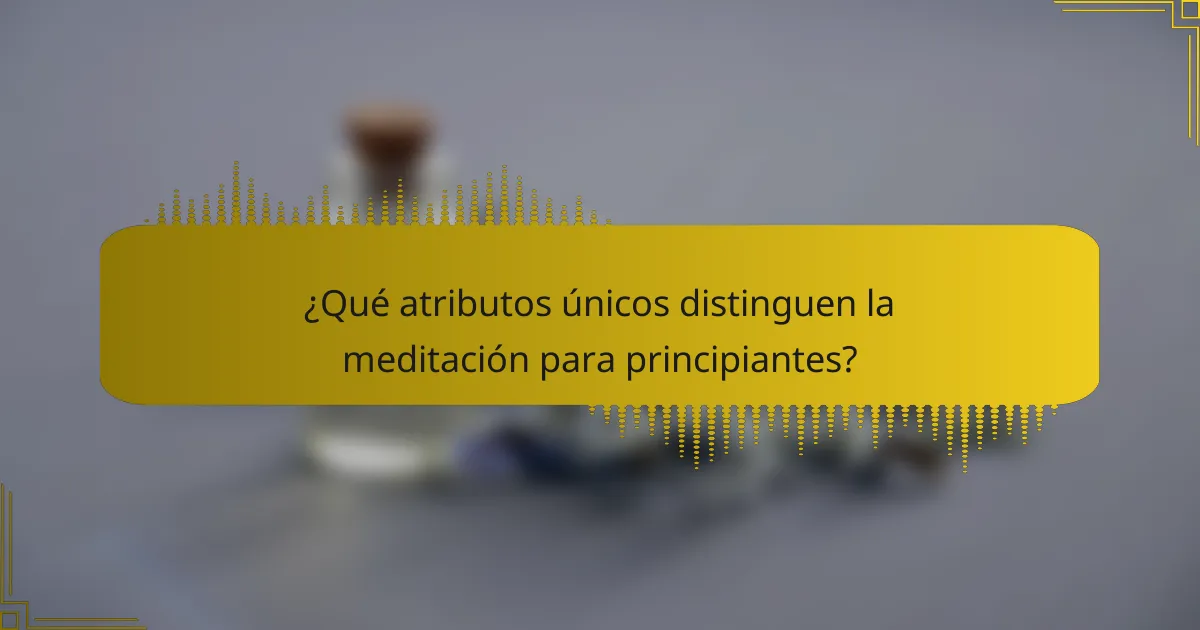 ¿Qué atributos únicos distinguen la meditación para principiantes?