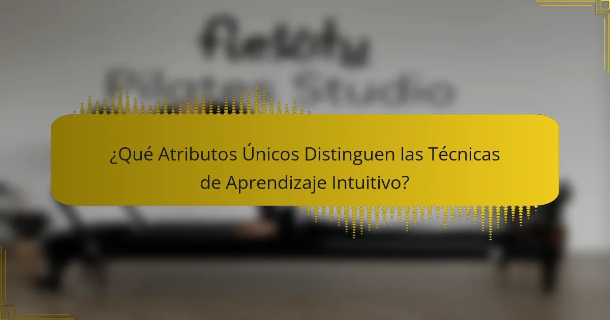 ¿Qué Atributos Únicos Distinguen las Técnicas de Aprendizaje Intuitivo?