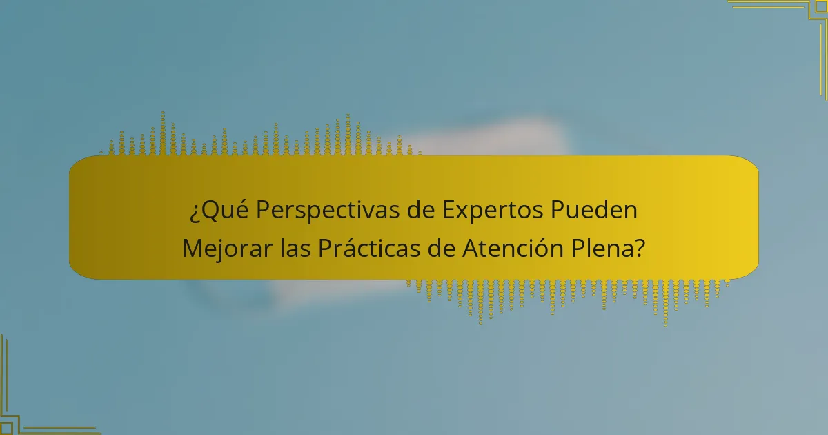 ¿Qué Perspectivas de Expertos Pueden Mejorar las Prácticas de Atención Plena?